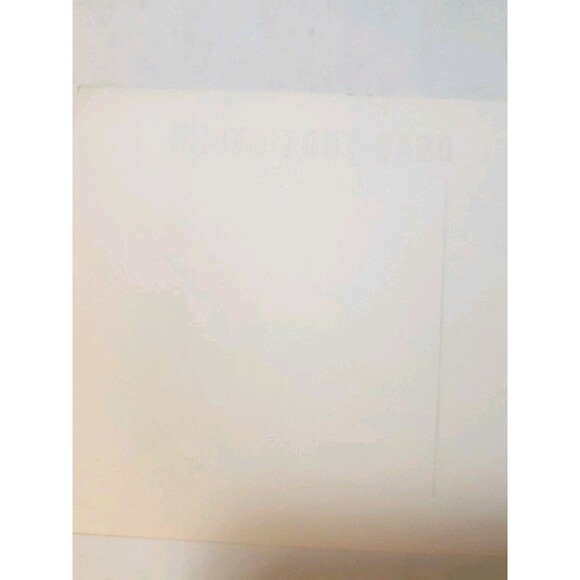 Postcard RPPC Deer Crawford Notch State Park Native N. H. Wildlife Exhibit c1950 - Picture 4 of 6